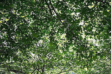 跨时空PvPvE战术射击新作《活性物质》正式公布